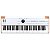 Teclado Stage Piano Arturia Astrolab 61 - Produto Novo - Imagem 1