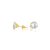 BRINCO PONTO DE LUZ OURO 18K 6 MM EM OURO 18K - Imagem 1