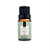 ESSENCIA 10ML CLASSICA BAMBOO - VIA AROMA - Imagem 1