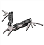 ALICATE/CANIVETE + ESTILETE JG C/2PC - VONDER - Imagem 4
