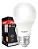 LAMPADA LED 7W 6500K - AVANT - Imagem 1