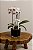 Arranjo Com Mini Orquídea Natural - Imagem 1