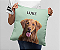 Almofada Personalizada com o Nome e a Foto do Seu Pet - Imagem 1