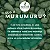 Condicionador Haskell Murumuru 500Ml - Imagem 5