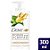 CONDICIONADOR DOVE PODER DAS PLANTAS PURIFICAÇÃO + GENGIBRE COM 300ML - Imagem 2