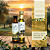 Kit com 2x Azeites Trieste (intenso + suave) - Imagem 1