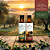 Kit com 2x Azeites Trieste (blend especial + suave) - Imagem 1