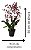 Orquídea Chocolate Oncidium Sharry Baby Planta Adulta - Imagem 4
