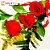 Arranjo com 03 Rosas Nacionais Vermelhas - Imagem 2