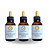 TRAT FIGADO - EXTRATO 60ML ( Tintura Mãe ) KIT 3 UNIDADES - Imagem 1