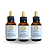 CARDO MARIANO ( Silimarina ) - EXTRATO 60ML ( Tintura Mãe ) KIT COM 3 UNIDADES - Imagem 1