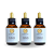Taiuiá – Extrato 60ml (Tintura Mãe) KIT COM 3 UNIDADES - Imagem 1