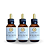 PICÃO PRETO - EXTRATO 60ML ( Tintura Mãe ) KIT COM 3 UNIDADES - Imagem 1