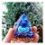 Orgonite Pirâmide Blue Lápis Lazuli Yin Yang Esfera Lazuli - Imagem 2