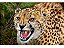 Pulseira Chakras Cheetah Pedra Do Amor Morganita Guepardo - Imagem 4