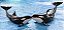 Colar Duplo Tipo Coração Magnético Amor Casal Baleias Orcas - Imagem 5