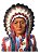 Índio Apache Cacique Guerreiro Magnífico Enfeite Veronese - Imagem 5