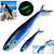 2 Isca Artificial Soft Sardinha Brilha Escuro 12cm 11g Atum - Imagem 7