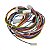 Chicote Rede Superior Lavadora Electrolux LTA13 64503196 - Imagem 1