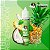 Salt Capi Juices - The Pineapple Redemption - 35mg - 30ml - Imagem 1