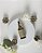 Hair Oil FRESH BERGAMOT - 50ml - Imagem 3
