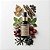 Perfume Capilar SMOKY PATCHOULI Hair Mist Fragrance Care 100 ml - Imagem 2