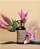 Curl Design Cream ACQUA DI MAGNOLIA - 250ml - Imagem 3
