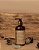 Curl Design Cream FUDGY CEDAR - 250ml - Imagem 2