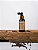 Texture Spray BLACK PEPPER & NEROLI - 100ml - Imagem 3