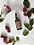 KIT Feminino Premium - SWEET LITCHI - Imagem 2