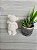 URSO EM PÉ DE RESINA EM 3D - Imagem 3