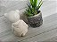 URSO SENTADO LISO EM 3D - Imagem 3