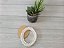 KIT MOLDURA OVAL + FUNDO DE MDF LLA-29 C/ 15 KITS - Imagem 6