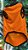 Roupa Happy Halloween Laranja P - Imagem 3