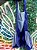 Vestido Pet Azul Royal GG - Imagem 4
