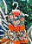 Vestido Pet Flores Laranja P - Imagem 1
