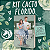 KIT CACTO FLORIDO - Imagem 1