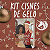 KIT CISNES DE GELO - Imagem 1