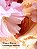 Hidratante Velvet Petals Brûlée Victoria’s Secret 236ml - Imagem 2