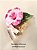 Body Splash Isla Hibiscus Victoria´s Secret 250ml - Imagem 2