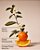 Refil Espuma De Mãos Backyard Honeysuckle Bath & Body Works 956ml - Imagem 2