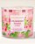 Vela Aromática 3 Pavio Strawberry Pound Cake Bath & Body Works - Imagem 1