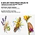 Kérastase Mini Genesis, Elixir Ultime & 8H Magic Bestsellers Hair Gift Set (3 itens) - Imagem 8