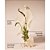 Linen & Lavender Spray Aromatizador de Ambiente Bath & Body Works - Imagem 2