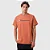 Camiseta Champion Heritage Script 30 Colors Heated Cooper - Imagem 1