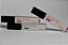 Gloss Labial Magia do Amor - Imagem 2