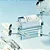 Madagascar Centella Hyalu-Cica First Ampoule Skin1004 50ml - Serum - Imagem 3