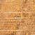 DECK GARAPEIRA - Imagem 4