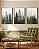 Quadro Decorativo Trio Floresta Árvore Pinheiro na Névoa - Imagem 3