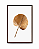 Quadro Decorativo Folha de Latânia Gold Design Luxo - Imagem 9